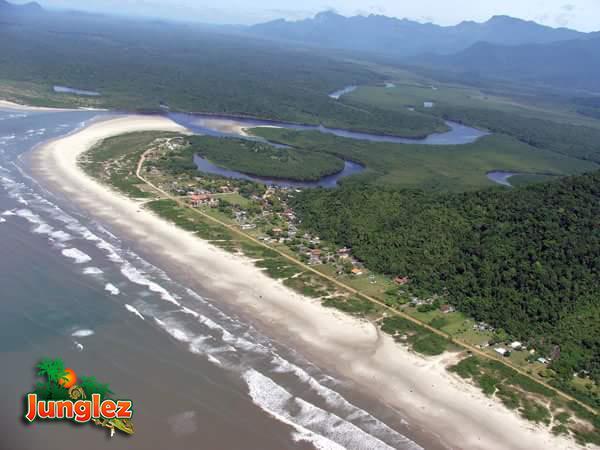 Junglez Eco Hostel Guarau 외부 사진