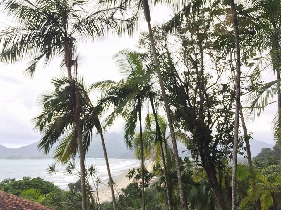Junglez Eco Hostel Guarau 외부 사진