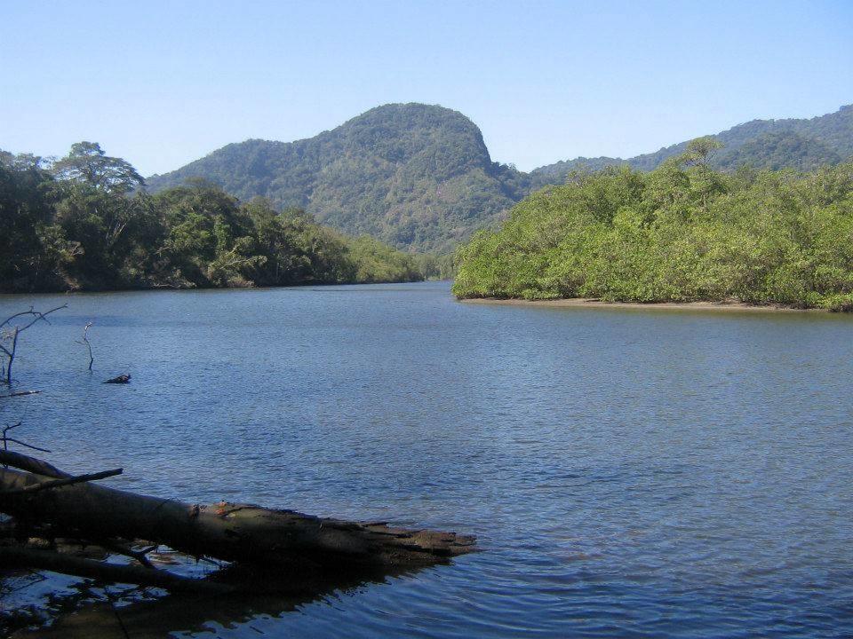 Junglez Eco Hostel Guarau 외부 사진