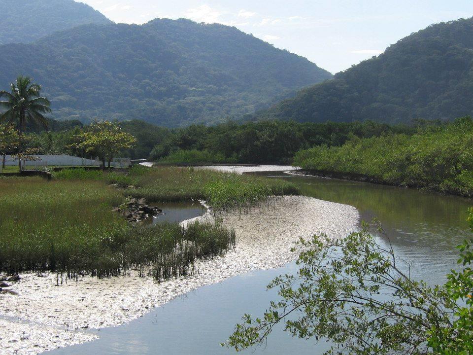 Junglez Eco Hostel Guarau 외부 사진
